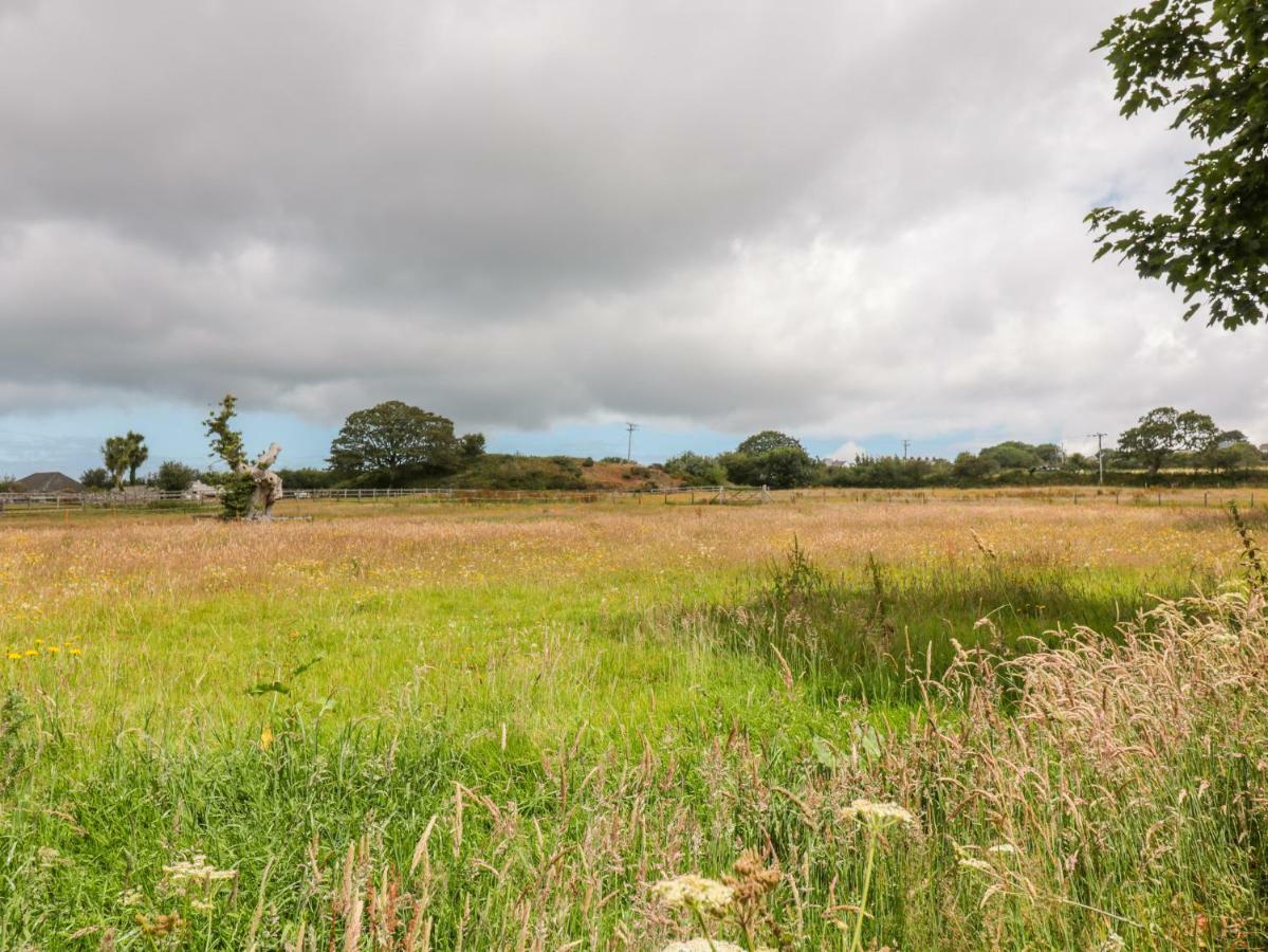 Villa The Roost Camborne Esterno foto